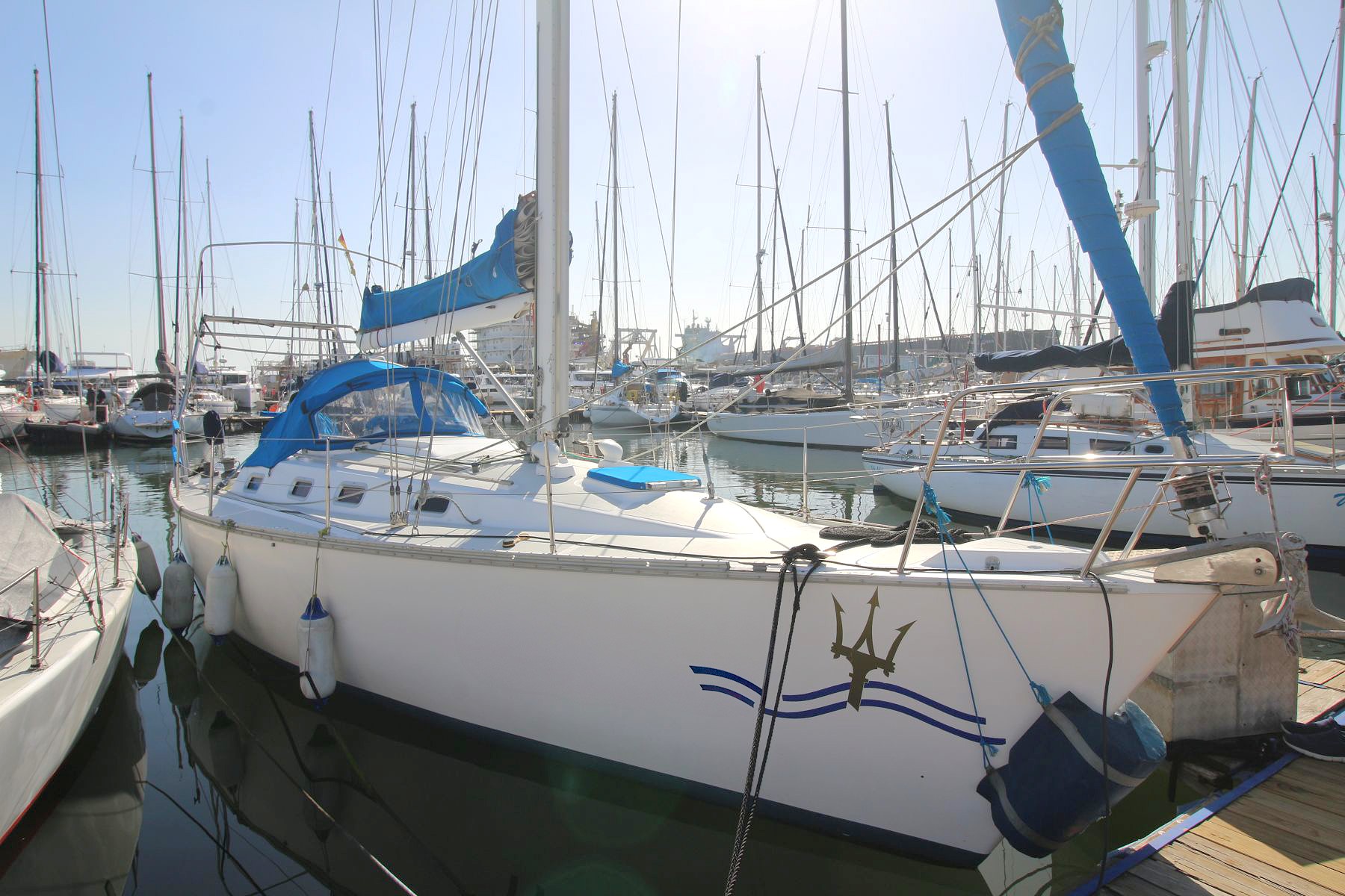 MON36-0585a