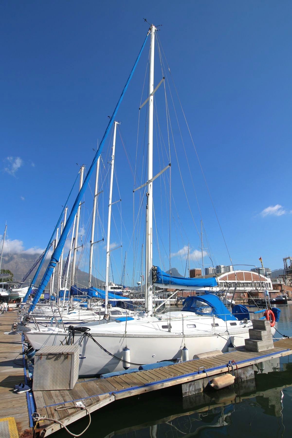 MON36-0585b
