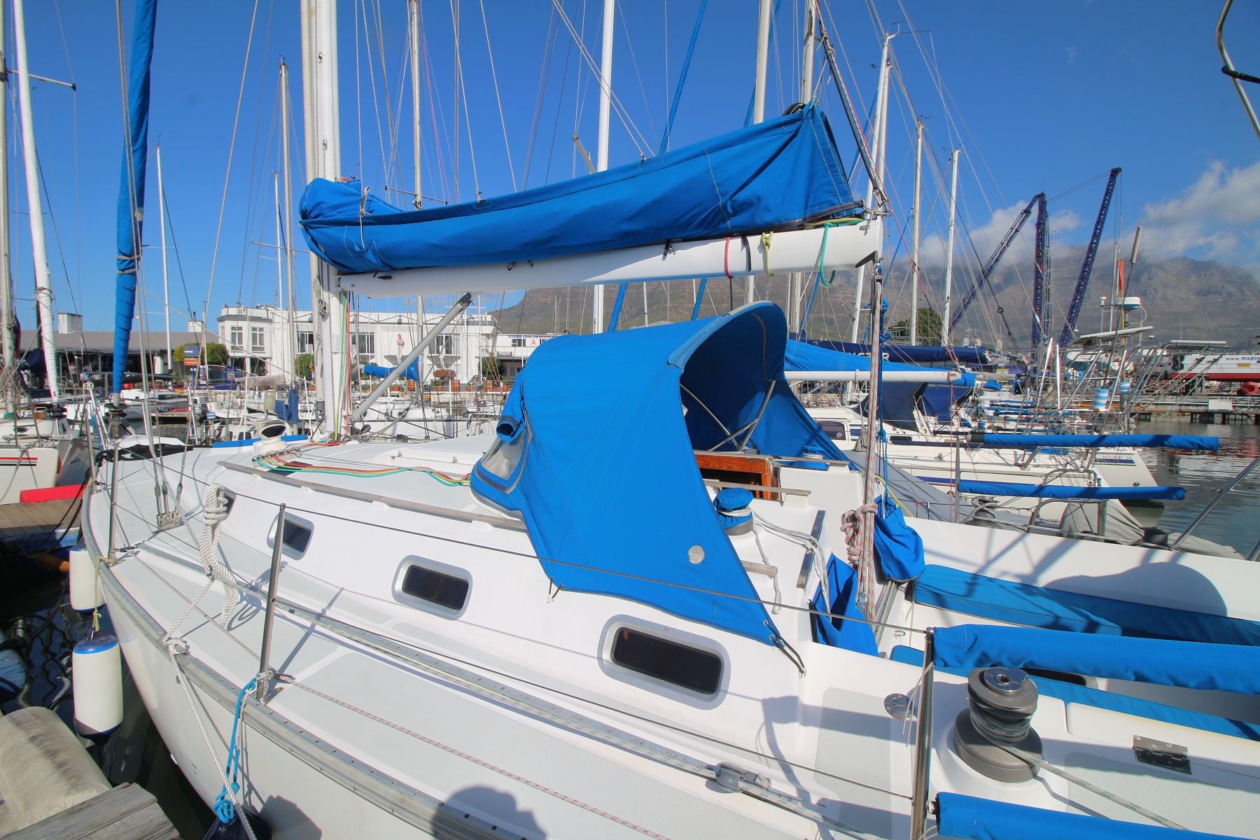 MON36-0585d