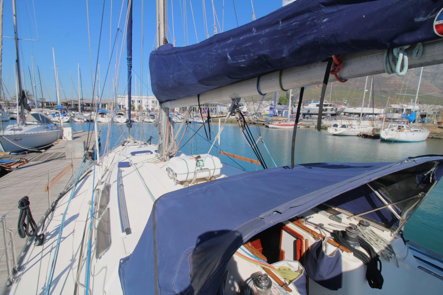 MON49-0383 (13)
