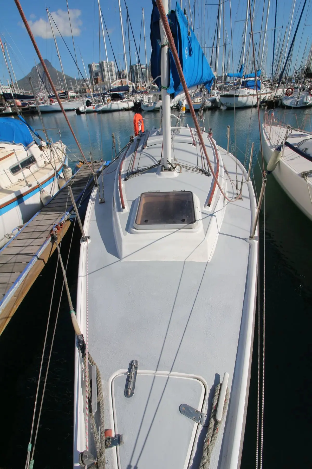 MON26-0590g