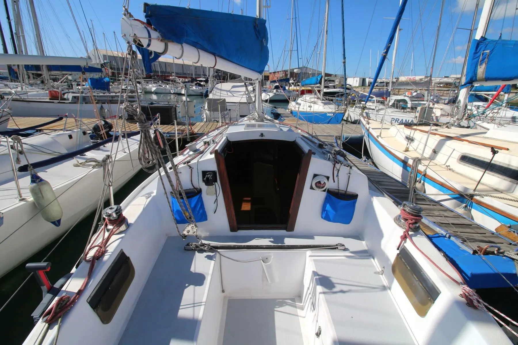MON26-0590l