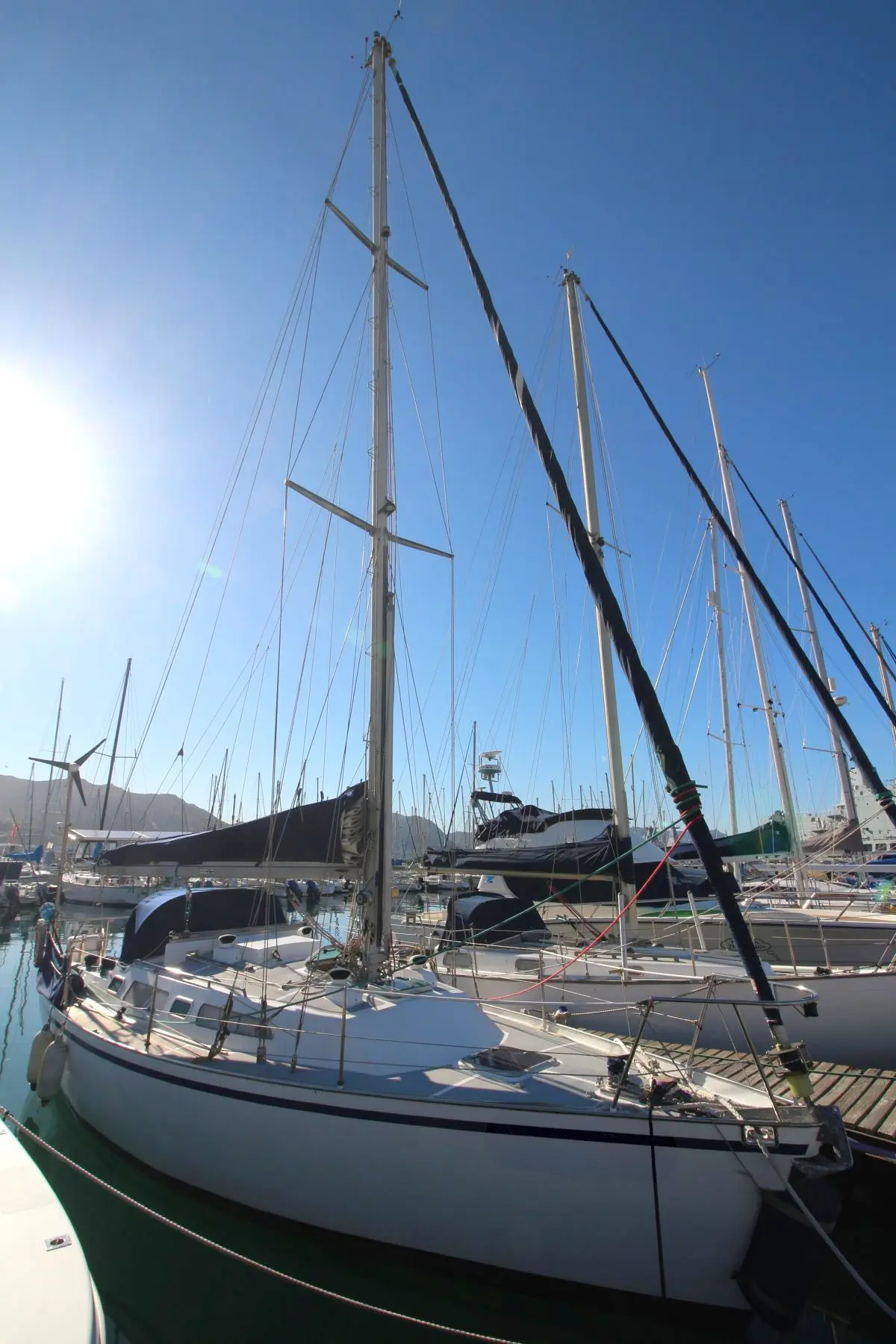 MON31-0586c