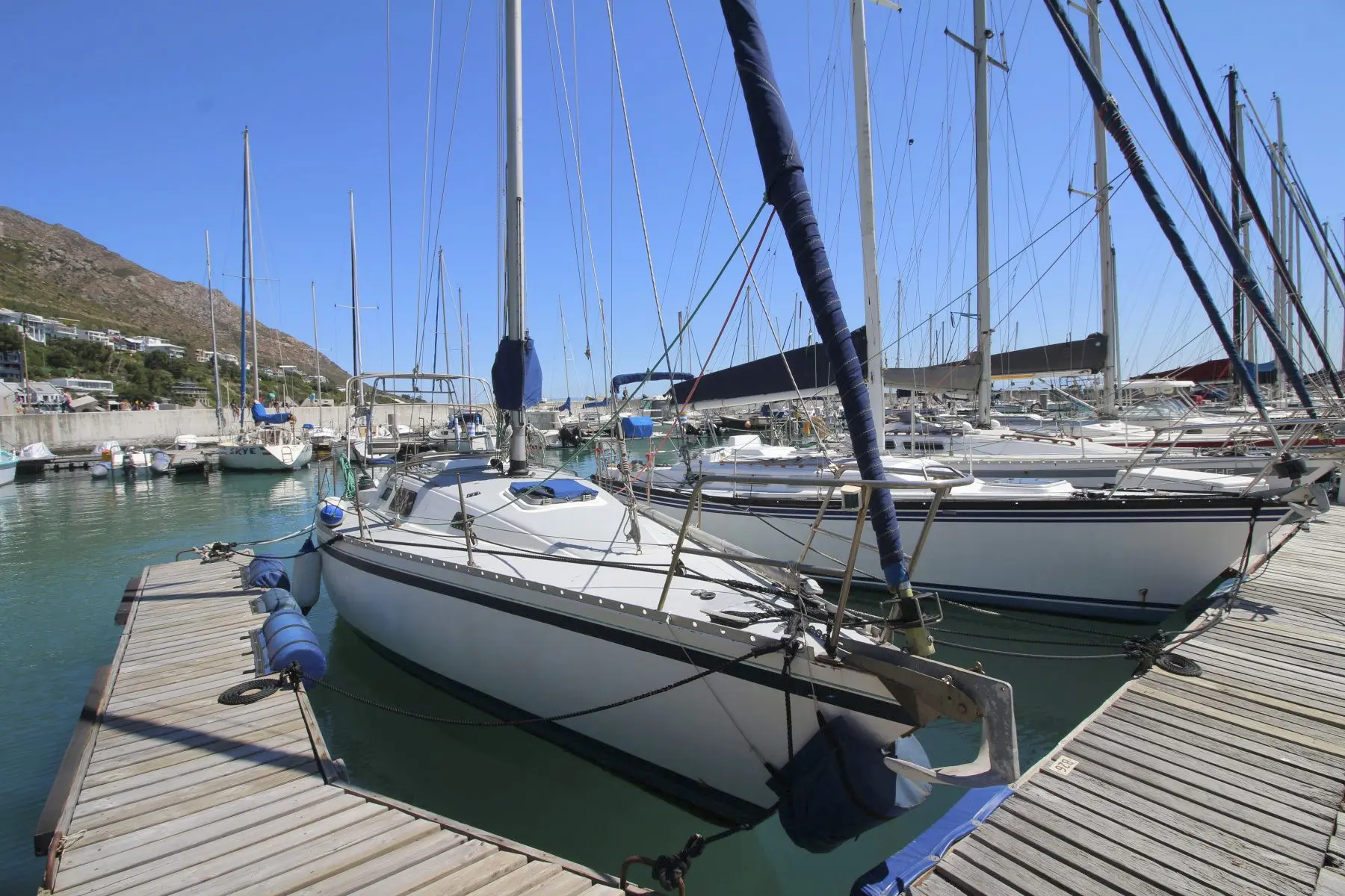 MON33-0592g